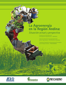 La Agroenergía en la Región Andina