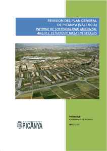 revisión del plan general de picanya (valencia)