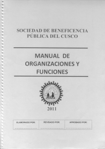 manual de organizaciones y funciones
