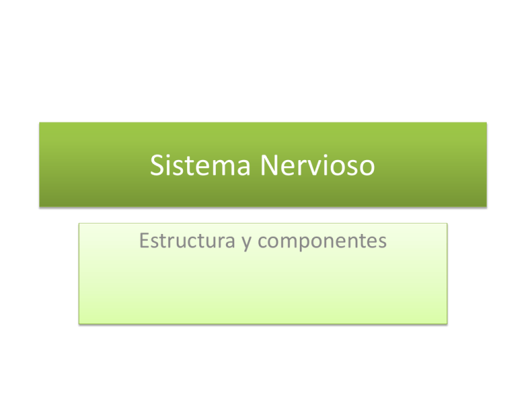 Sistema Nervioso
