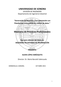 UNIVERSIDAD DE SONORA Memoria de Prácticas Profesionales