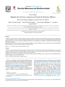 Registro de Coleonyx elegans en el norte de Veracruz, México