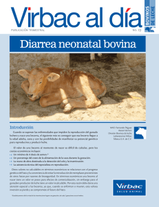 Diarrea neonatal bovina