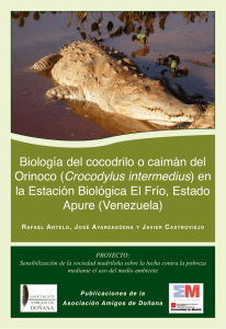 Biología del cocodrilo o caimán del Orinoco - inicio - aad