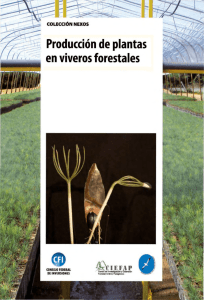 ProducciOn de plantas - Reforestation, Nurseries and Genetics