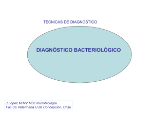 File - microbiología veterinaria udec