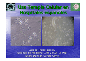 realidades clínicas de terapia celular en España 2004
