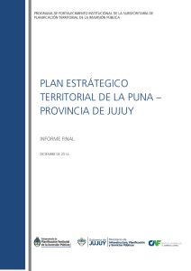 plan estrátegico territorial de la puna – provincia de jujuy