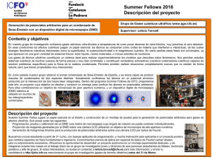 Summer Fellows 2016 Descripción del proyecto