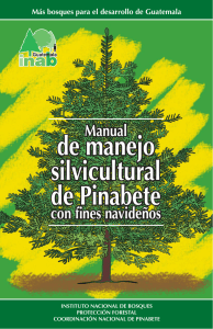 Manual Pinabete