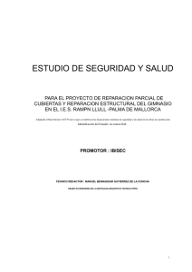 Documentación complementaria (PDF de 10474KB)