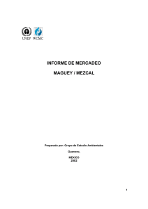 INFORME DE MERCADEO MAGUEY / MEZCAL