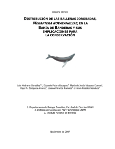 Registro y análisis de la distribución de ballenas jorobadas