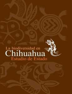 La biodiversidad en Chihuahua: Estudio de Estado.