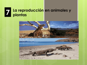 7 La reproducción en animales y plantas