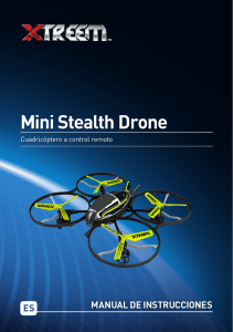Mini Stealth Drone