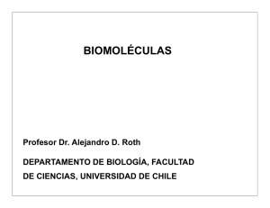 Sesión4-biomoleculas-1 2011 - U