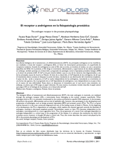 El receptor a andrógenos en la fisiopatología prostática