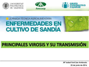 Principales virosis y su transmisión. Isabel Font (PDF 11,83 MB.)