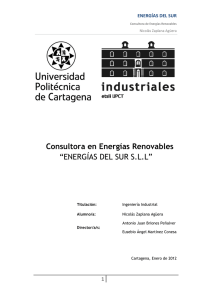 Consultora en Energías Renovables “ENERGÍAS DEL SUR S.L.L”