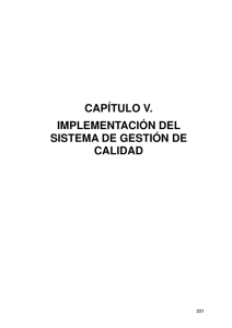 CAPÍTULO V. IMPLEMENTACIÓN DEL SISTEMA DE GESTIÓN DE