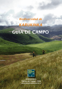 biodiversidad de karukinka, guia de campo