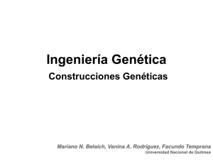 Construcciones genéticas - Ingeniería Genética A