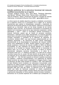 106. GRAZIOTTI,G. VET-UBA Estudio preliminar