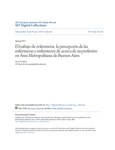 El trabajo de enfermerÃ a: la percepciÃ³n de las enfermeras y