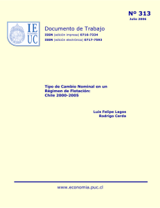 Nº 313 - Instituto Economía Pontificia Universidad Católica de Chile