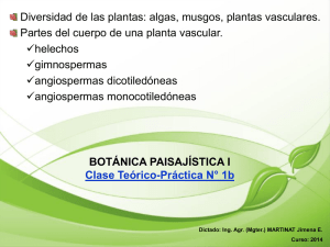Botánica Paisajística I, Clase 1b - Diversidad de las plantas