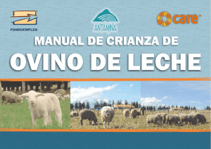 manual de crianza de ganado ovino de leche