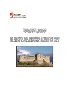 1. introducción - Junta de Castilla y León