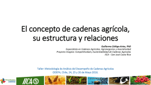El concepto de cadenas agrícola, su estructura y relaciones