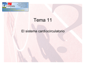 tema11_circulatorio.