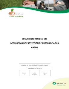 documento técnico del instructivo de protección de cursos