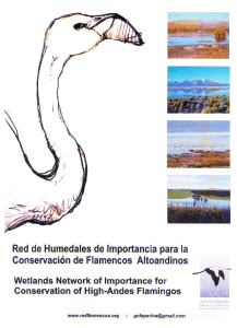 Red de Humedales - Reserva del Huaico
