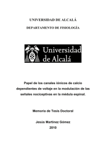 B - Universidad de Alcalá