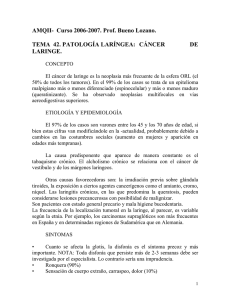 AMQII- Curso 2006-2007. Prof. Bueno Lozano. TEMA 42