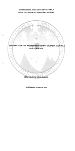 mnización civil procede r daños causados en lm