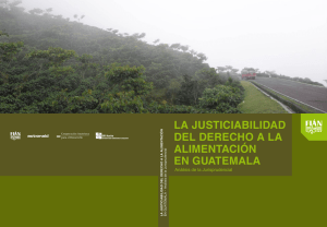 la justiciabilidad del derecho a la alimentación en guatemala