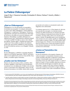 La Fiebre Chikungunya1 - EDIS