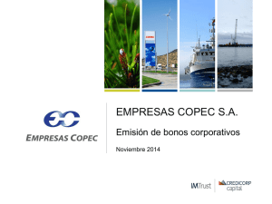 Empresas Copec - Roadshow Presentation 2014