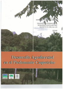 Desarrollo Agroforestal en el Piedemonte Caqueteño