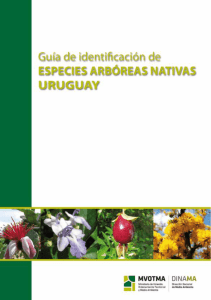 Guia de identificacion de especies arbóreas nativas de Uruguay