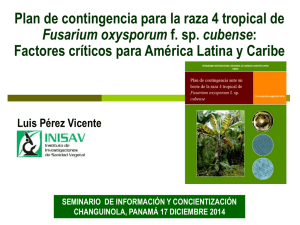 Factores críticos para América Latina y Caribe