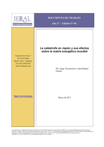 La catástrofe en Japón y sus efectos sobre la matriz energética