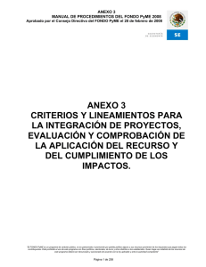 Anexo 3 - Fondo Pyme