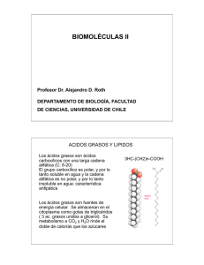Sesión5-biomoleculas II 2011 - U
