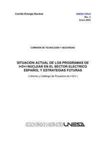 SITUACIÓN ACTUAL DE LOS PROGRAMAS DE I+D+I NUCLEAR
